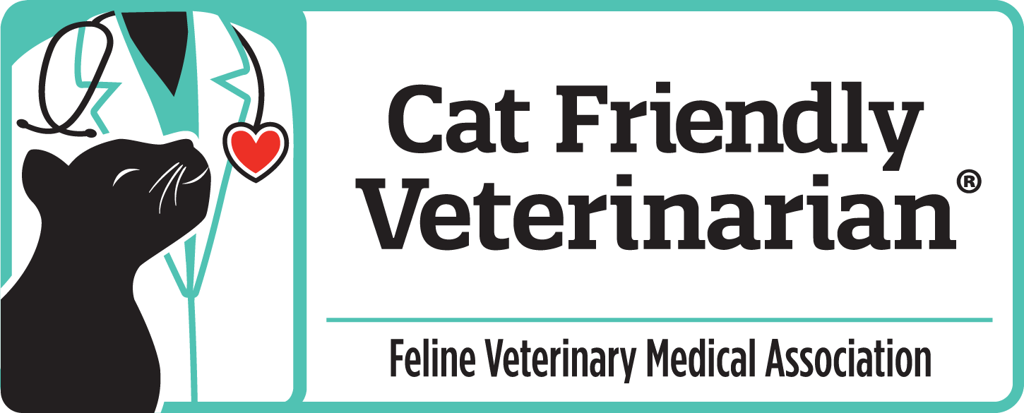 Cat-friendly Vet